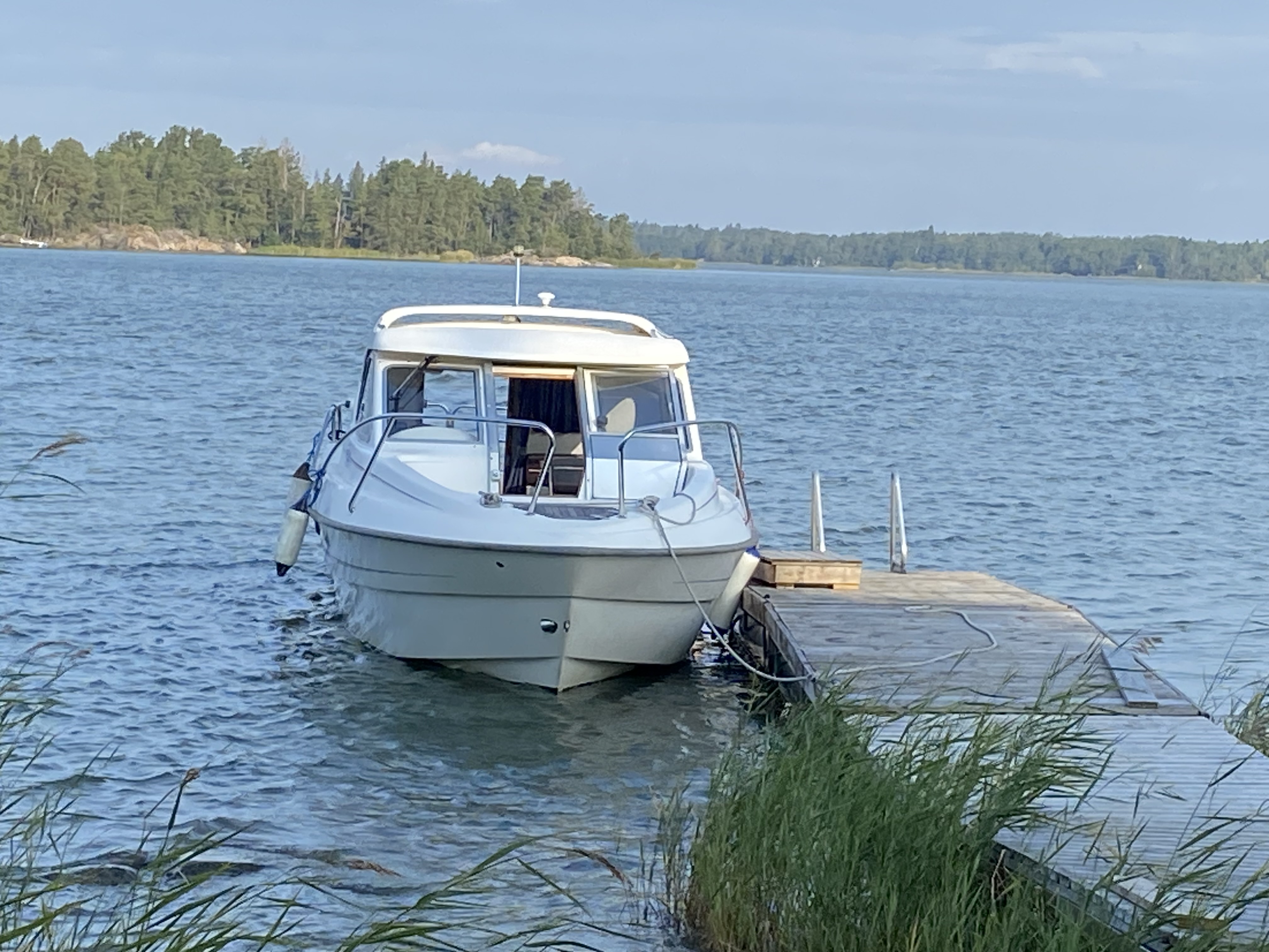 Bella 655